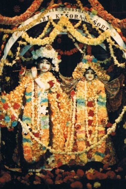 Picture