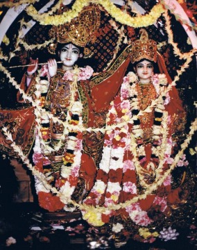Picture